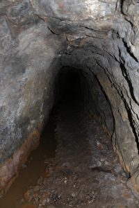 UNEXMIN meeting - shaft in Deep Ecton